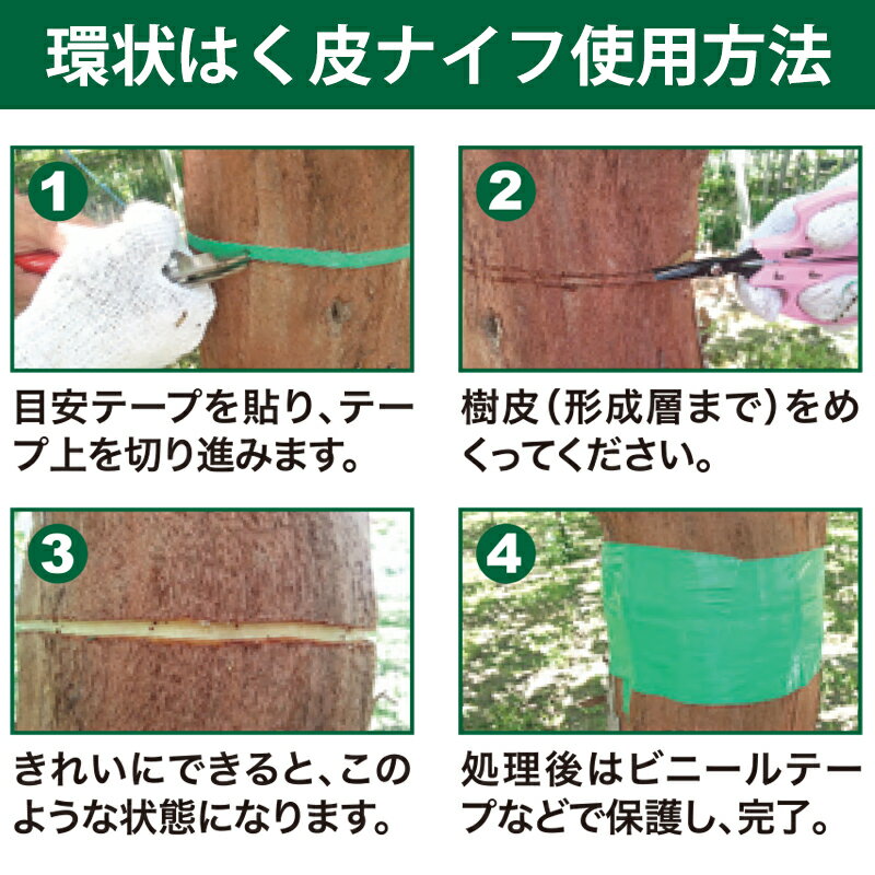 環状はくひナイフ はく皮 レッド サボテン B-9 3