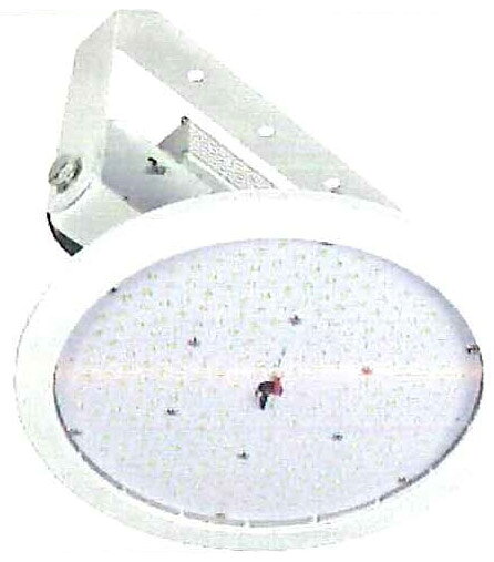 仕様屋内仕様保護機能：サージプロテクター付定格電圧：AC100/200V兼用(50/60Hz)固有エネルギー消費効率：79.6Lm/W入力プラグ：切放し電線種：18AWG×3芯×0.3m消費電力：113W明るさ：定格光束/9000Lm、1m照度/4100Lx照射角：120度(1/2ビーム角)色温度：5000K(昼白色)使用環境温度：-30～50℃サイズ：W300×φ286×H256mm質量：4.1kg保証期間：光具/1年、電源装置/3年付属品：M10×25ボルトナットセット×2、落下防止ワイヤー×2※メーカーからの取寄せ商品のため、ご注文後のキャンセル、返品、交換はできません。