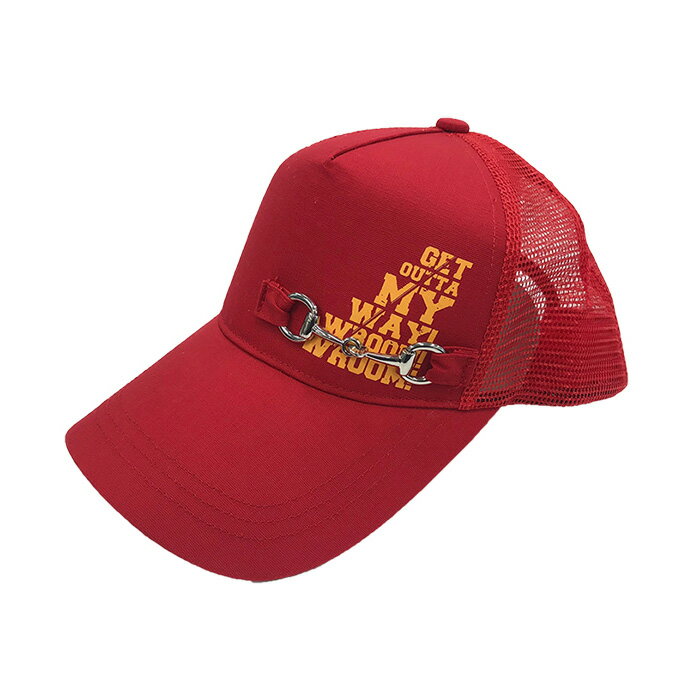 メッシュキャップ サイズ：フリー 取寄品 DIVERSTYLE DS-1060