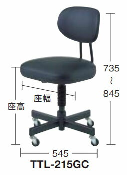 ����ѥ�����(�ء����㥹������)����400�ߺ¹�410��520mm �֥�å� �ȥ饹�� TTL-215GC