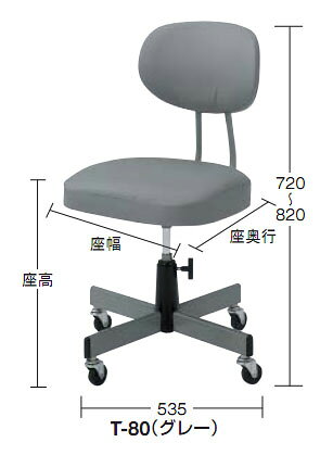 ���ե��������� ɸ���̳�ػ� ���졼 �ȥ饹�� T-80