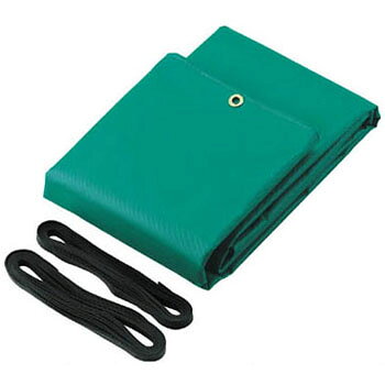 �ȥ�å������Ȧ�(1t�ȥ�å���)2.1��3.1M ���꡼�� �ȥ饹�� TS-1TA-GN