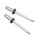 ブラインドリベット(丸頭)NA 6.4×25.4mm(500本入) エビ ロブテックス NA812