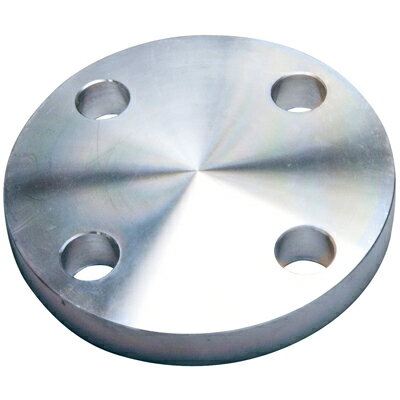 ステンレス鍛鋼製 20K 閉止フランジ サイズ 150A(6 B) フローバル SUS-20K-BL-FF-150A