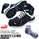 yzSC FVeB ~bh 25.5cm ubN~zCg PUMA \bNX Ct PUMA(v[}) 63.342.0 ( Xj[J[ ƌC Ɨp [LOV[Y SV[Y Z[teB[V[Y c nCJbg EH[LOV[Y )