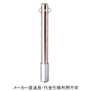 車止めポール ポストタイプ 差込式 フック2ヶ付 #400研磨仕上げ 直径101.6mm 高さ850mm ステンレス製 メーカー直送 代引不可 サンキン メドーマルク SP2-10S ( 駐車場用品 駐車場 出入り口 車庫 空間 区切り ポール 商業施設 公共施設 公園 駅前広場 病院 )