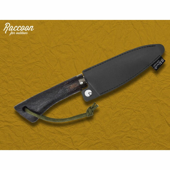 Raccoon �����ɥɥ��ʥ��� 120 ����� �ߤ�������¼ TS251 (��ǽ �ʥ��� ������ �ե��������ƥ��å� ������ ξ�� ŷ���� �ܾ����ž� ��ž夲 ���ƥ�쥹�� ����å׷���)