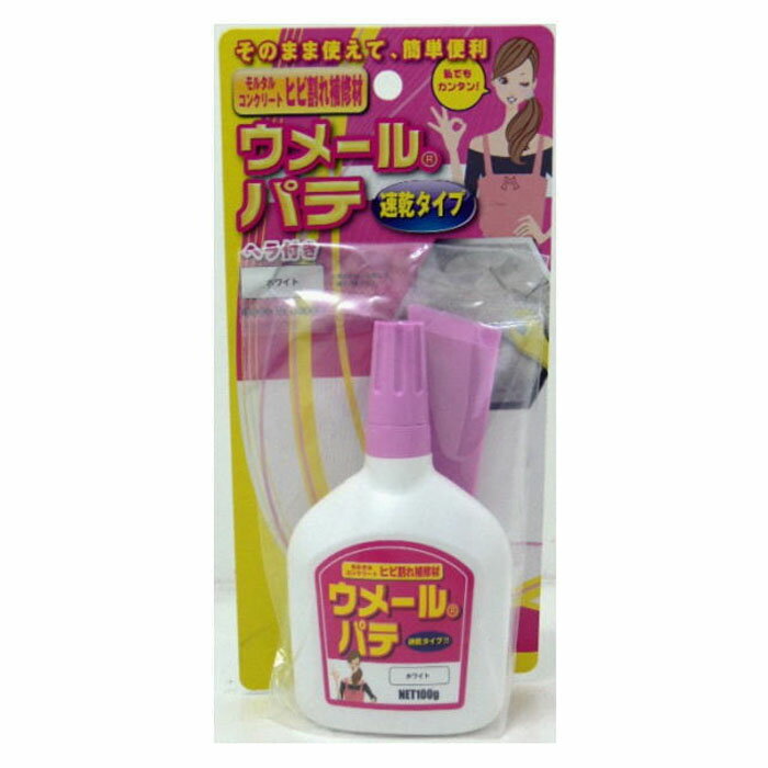 ウメールパテ 速乾タイプ ホワイト 100g 取寄品 家庭化学工業 カテイ-209764