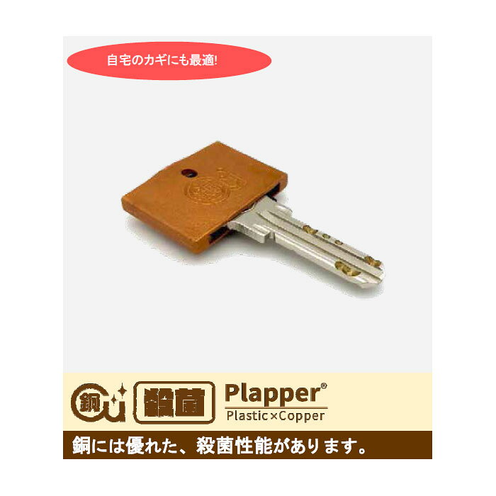 銅配合樹脂Plapper キーカバー 取寄品 第一精工舎 C-03P (銅 殺菌 オフィス 家庭 ...