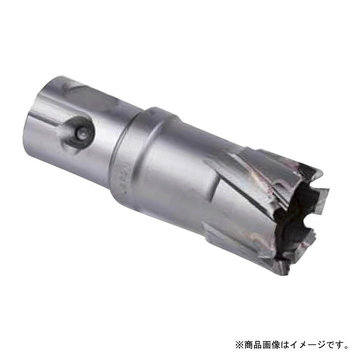 デルタゴンメタルボーラー250A カッター 22mm 取寄品 ミヤナガ DLMB25A22 (穴あけ 金属 ステンレス 切削油タイプ 磁気ボール盤 SM材 SN材 耐久性 3分割刃先)