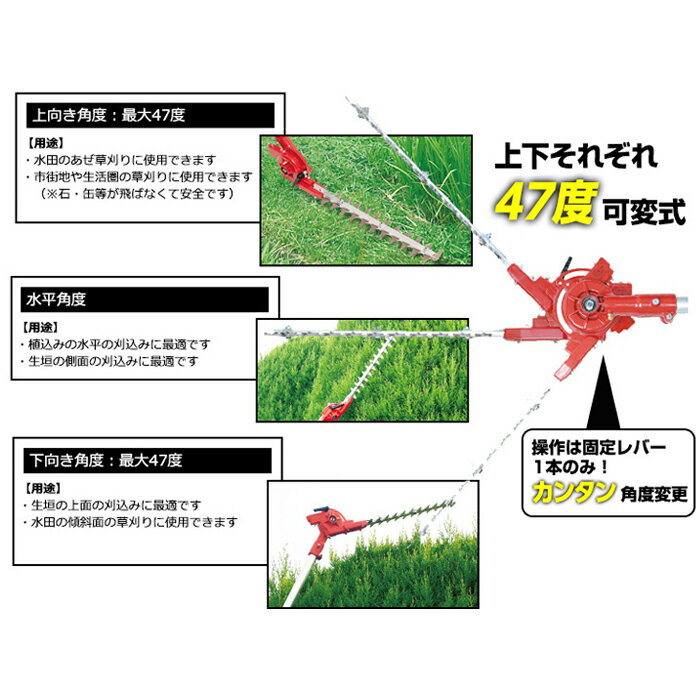 刈太郎400 ニシガキ N-833 (往復 バ...の紹介画像2