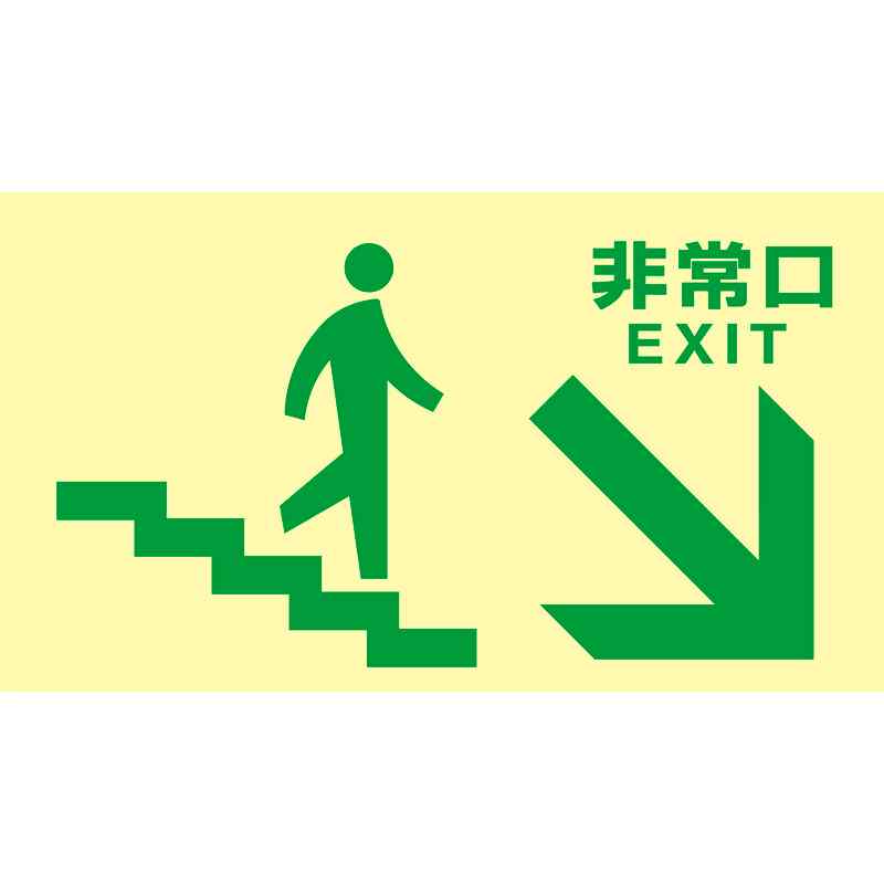 高輝度蓄光避難誘導標識 非常口(階段右下) TKN109 130×230 東京都条例適合品 取寄品 日本緑十字社 068049 ( )