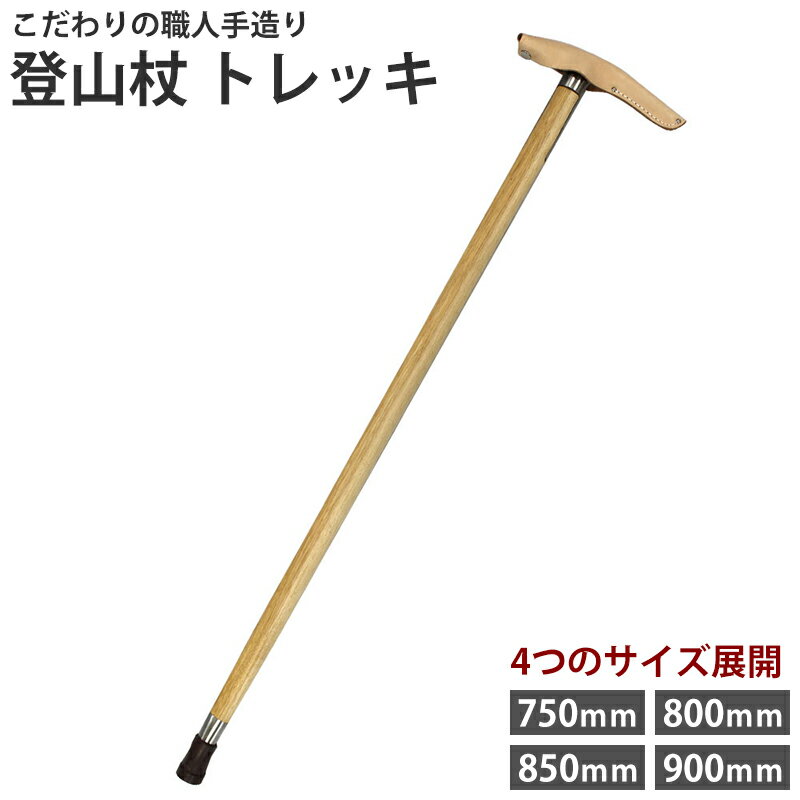 登山杖 トレッキ 取寄品 フジカワ arde5309130-133