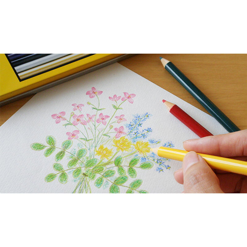 大工道具・金物の専門通販アルデのTombow 缶入り色鉛筆 NQ 36色【1セット】 取寄品 トンボ CB-NQ36C｜アングル3