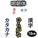 ワッペン アップリケ オーダーワッペン 刺繍 ひらがな 漢字 カタカナ 一文字 複数文字 1文字 名前 企業/社名 ネーム 名入れ 名札 ゼッケン お名前ワッペン ネームワッペン ひらがなワッペン 刺繍ワッペン アイロンワッペン 漢字ワッペン ネームタグ 迷子札 名札 【wap-j210】