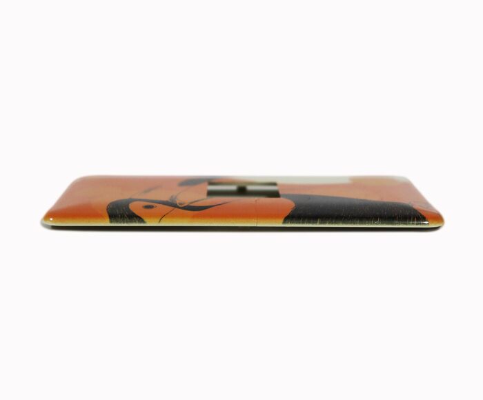 スイッチプレート(1個用)オオハシ / Switch plate (for 1 switch) Toucan