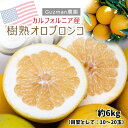 【期間限定販売】Guzman農園 『樹熟オロブロンコ』アメリカ カリフォルニア産 柑橘 約6kg(目安として:10〜20玉)簡易箱 ※常温【メーカー直送】 母の...