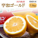 【期間中P2倍&クーポン配布中】【期間限定販売】『宇和ゴールド(品種:河内晩柑)』 愛媛県産 柑橘 S〜2L 約7.5kg 産地箱 風袋込 ※常温【2025年6...