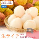 生ライチ『玉荷包(ぎょっかほう)』台湾産 レイシ 茘枝 約1kg(40-50個程度)/約2kg(80-100個程度)※冷蔵【2025年6月9日(月)決済完了分で...