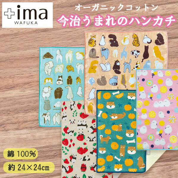 【期間中P2倍&クーポン配布中】今治タオル プラスイマ +ima ハンカチ いまばり ハンカチ 吸水力 タオル プレゼント メンズ 男性 プチギフト ギフト 大人 今治 おしゃれ ハンドタオル お返し シンプル ミニタオル 日本製 母の日【お買い物マラソン★買い回り】
