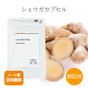 ショウガカプセル30日【メール便送料無料!(代金引換・日時指定不可)】 野菜パウダー