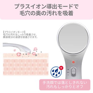 【送料無料】アレティクラリティ:リンクル(L)/イオン導入型美顔器
