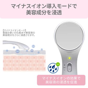 【楽天1位】【送料無料】イオン導入・導出型美顔器/アレティクラリティ:リンクル(L)【あす楽】