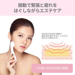 【楽天1位】【送料無料】イオン導入・導出型美顔器/アレティクラリティ:リンクル(L)【あす楽】