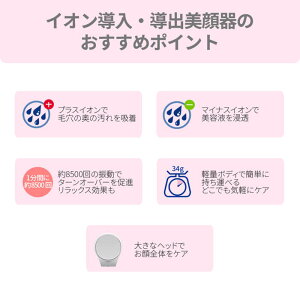 【楽天1位】【送料無料】イオン導入・導出型美顔器/アレティクラリティ:リンクル(L)【あす楽】