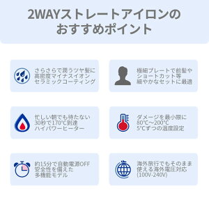 【送料無料】アレティマイナスイオンストレートアイロン15mm/海外対応業務用