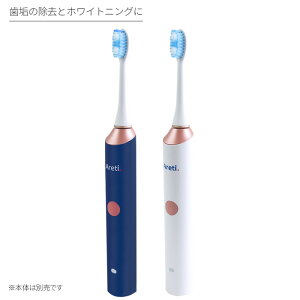 【あす楽】【送料無料】電動歯ブラシプロフェッショナルビューティーケアMIGAKI用替えブラシスタンダードブラシ2本入り