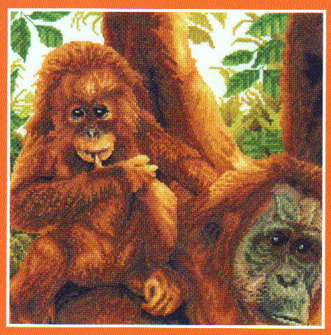 DMC�ɤ��夦���åȡ�On Dad's Shoulder�ʥ���󥦡������