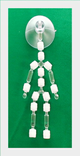 ぬいスケルトン L 約20cm