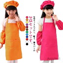 【送料無料】帽子 子ども エプロン 子供 女の子 キッズ 子供 かわいい セット エプロン 袖カバー 小学生 男の子 おしゃれ こども キッズエ