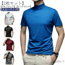 【送料無料】2枚組 ハイネック 半袖 メンズ Tシャツ モックネック ゴルフウェア ストレッチ 無地 ハイネック トップス カットソー