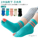【送料無料】足袋 足袋ソックス 綿 子供 スポーツ 男の子 ジュニア ハイソックス タビソックス ソックス 足袋靴下 2足セット 2本指靴下