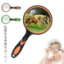 【送料無料】1点セット 拡大鏡 虫眼鏡 子供用 30倍 倍率 高倍率 虫めがね 天眼鏡 手持ちルーペ 100mm 拡大鏡 学習用 観察 読書 作業用 新聞