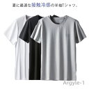 【送料無料】2枚セット 接触冷感tシャツ メンズ 大きいサイズ 夏 半袖 tシャツ ゆったり 体型カバー 涼しい 速乾 涼感 ひんやり 無地