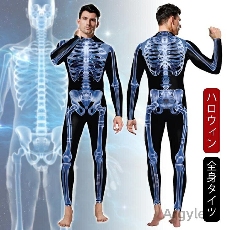 ̵ۥϥ ץ  ȥ  塼   Ϸ Ϸ    ץ  