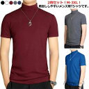 【送料無料】2枚セット ハイネック カットソー 半袖 メンズ Tシャツ メンズtシャツ モックネック ゴルフtシャツ ストレッチ 無地