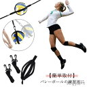 【送料無料】バレーボール 練習器具 アタック サーブ スパイク トス練習器具 自主練習 バレーボール用品 トレーニング用品 自主トレ