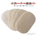 【送料無料】天然へちま 油汚れがつかない ヘチマスポンジ キッチン用品 食器ブラシ 手を傷つけない 食器洗い 5枚セット 皿洗い 家庭用