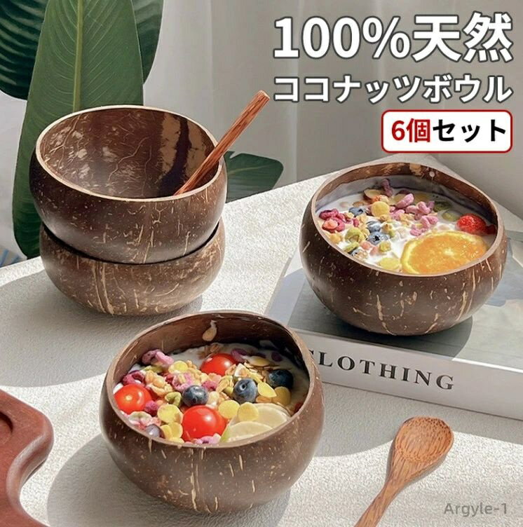 【送料無料】ココナッツオイルで研磨 再利用可能なハンドココナッツシェルボウル 環境に優しい 6個セット ココナッツボウル