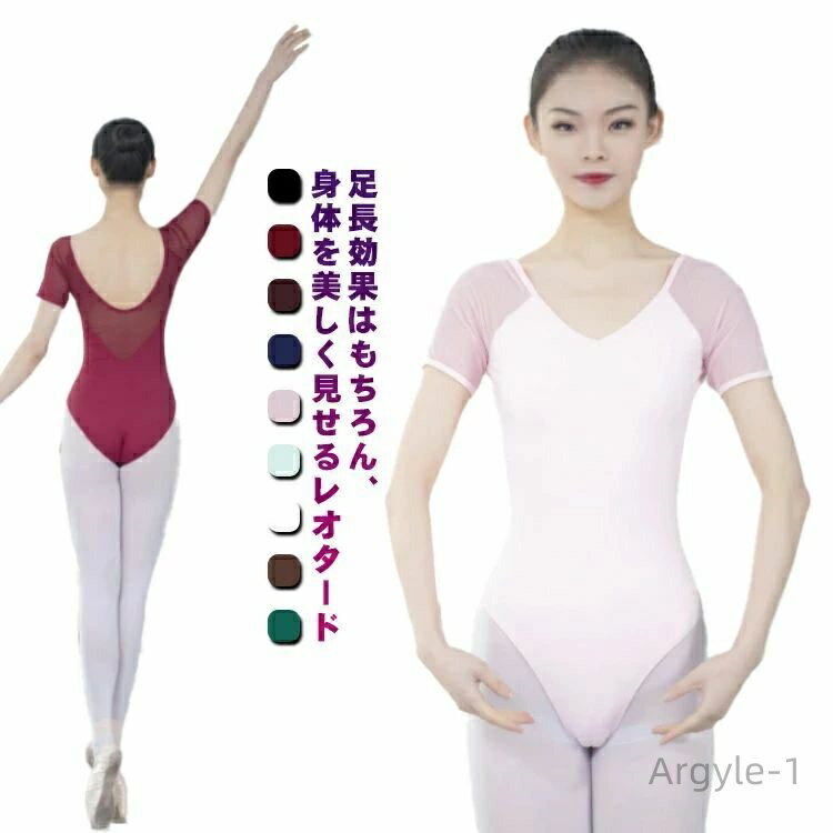 ̵ۥХ쥨 Ⱦµ쥪 Ф  ϥ쥰 Х쥨 ֥å ȥå 쥪