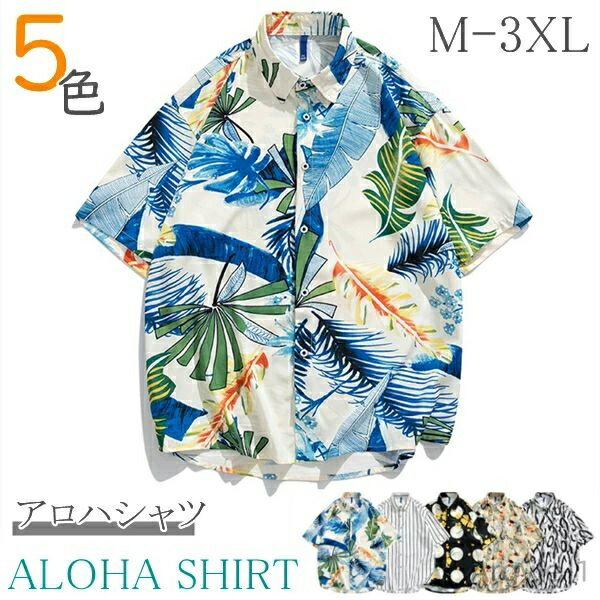 ������̵���ۥ� ��ǥ����� ��� �礭�������� �ȥåץ� �֥饦�� �ϥ磻 �˽����� ����� �����ϥ����� �����ϥ����