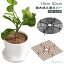 【送料無料】植木鉢グリッド 3サイズ いたずら防止 いたずら防止 プロテクターキャット ABSプラスチッ..