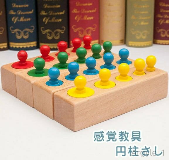【送料無料】入園 おもちゃ 幼児教材 教材 早期 幼児 ソケット式 感覚教具 4本セット モンテッソーリ 知育玩具 おもちゃ 色認識