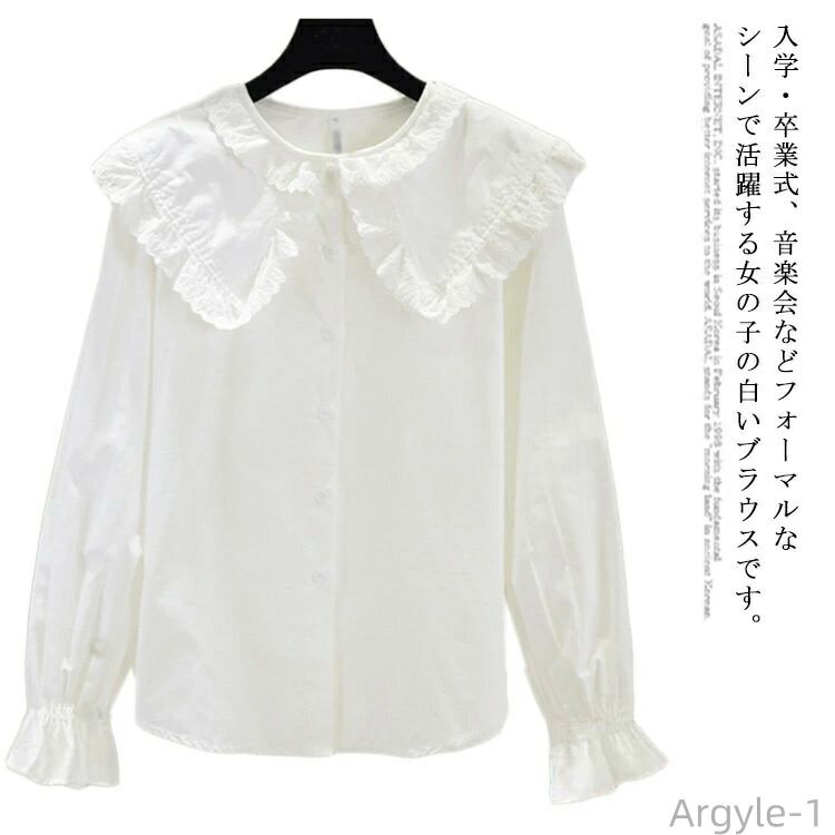 ̵ۻҶ ֥饦 Ĺµ  λ 륺 եޥ ĥ֥饦 뺧 ȯɽ  ̱ 襤 