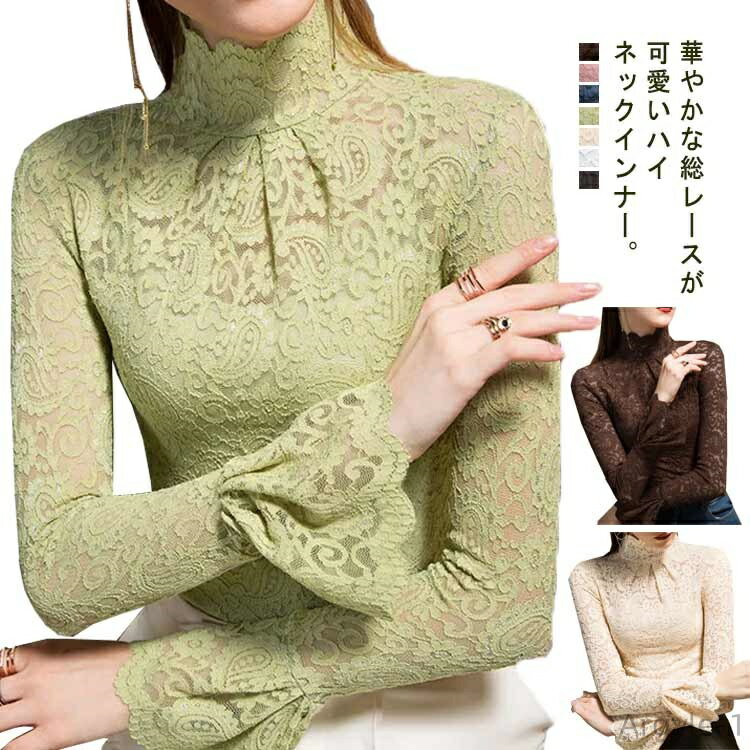 ������̵���ۥ졼���ȥåץ� Ĺµ ��ǥ����� �졼�� �������ȥåץ� ��å��ͥå� �ܥȥ�ͥå� Ĺµ���åȥ��� Ĺµt����� ����T