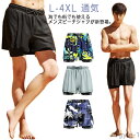【送料無料】海パン 男性 サーフショーツ ボードショーツ 水陸両用 海パン ハーフパンツ 海水パンツ サーフパンツ ビーチパンツ メンズ